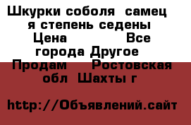 Шкурки соболя (самец) 1-я степень седены › Цена ­ 12 000 - Все города Другое » Продам   . Ростовская обл.,Шахты г.
